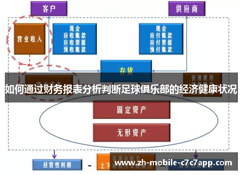 如何通过财务报表分析判断足球俱乐部的经济健康状况