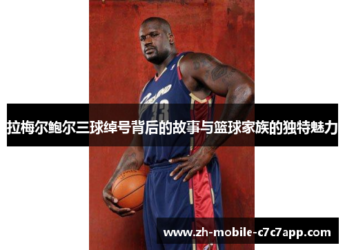 拉梅尔鲍尔三球绰号背后的故事与篮球家族的独特魅力