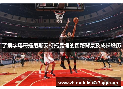 了解字母哥扬尼斯安特托昆博的国籍背景及成长经历