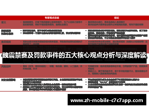 魏震禁赛及罚款事件的五大核心观点分析与深度解读