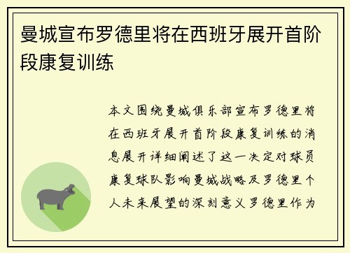 曼城宣布罗德里将在西班牙展开首阶段康复训练